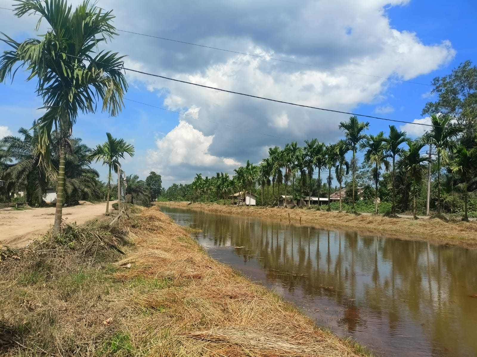 Warga Rantau Rasau Sambut Gembira Dan Ucap Terima Kasih Atas Tebas Bayang BWSS VI Jambi Tahun 2025